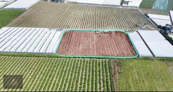 Şah Yapı'dan Kazanlı'da 19.000 M2 Hisseli Satılık Tarla