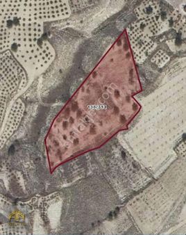 Ürgüp Sofular Köyünde 6.300 M2 Kayseri Yolunda Satılık Arsa Bağ