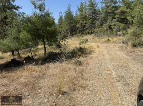 Bursa Orhaneli Serçeler Mah