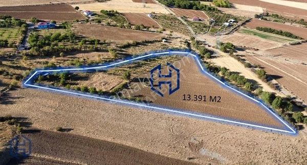 Harbert Işıkyolun'da Bağ Bahçelik 13390 M2 Satılık Tarla