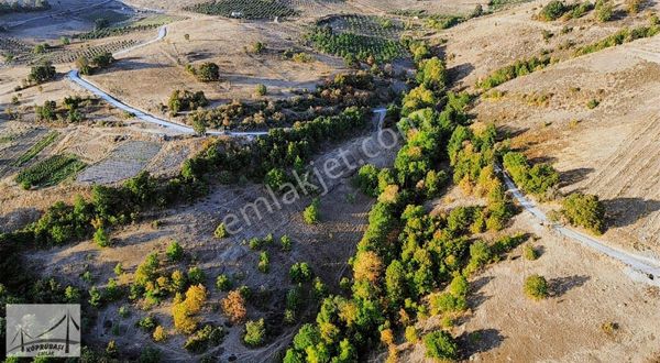 Köprübaşı Emlak'tan Fulacık'ta %5 İmarlı Tarla