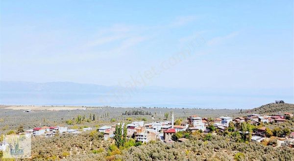 Bursa Orhangazi Heceler Mah. 3161 M2 Göl Manzaralı Zeytinlik