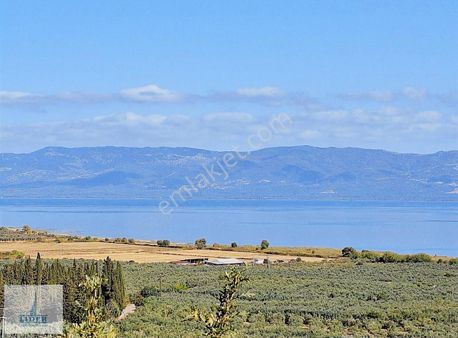 Bursa Orhangazi Heceler Mah. 922 M2 Resmi Yola Cephe Zeytinlik