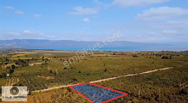 Kale'den Yenigürlede 3.276m² Su Kanalı Ve Yola Cephe Zeytinlik