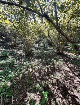 Mabel Gayrimenkul Sahile Yakın Müstakil Deniz Manzaralı Arsa