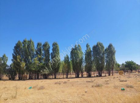 Esenyurt Bölgesinde Satılık 1.206 M2 Villa Arsası