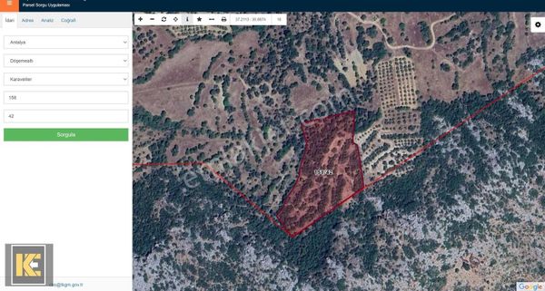 Kaan'dan...karaveliler'de 9.525m2 Zeytin Bahçesi Tek Tapulu...