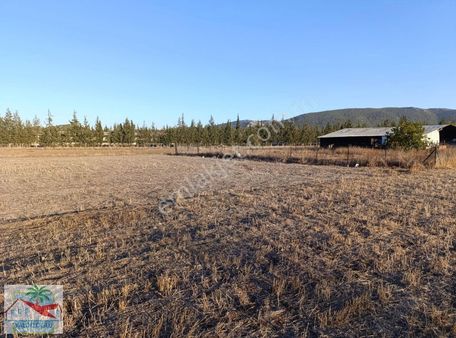 Bademağacı'nda Satilik 690 M2 Villa Arsası