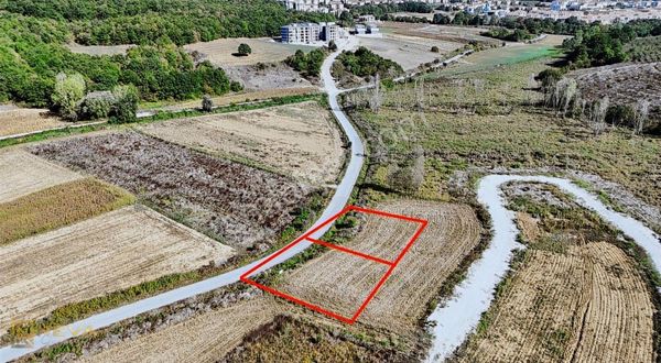 Sakarya Adapazarı Korucuk'ta 500 + 500 =1000m2 Konut İmarlı Arsa