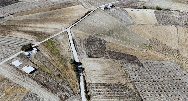 Kaynarca Kayacık Mah. Satılık 2029 M2 Tarla