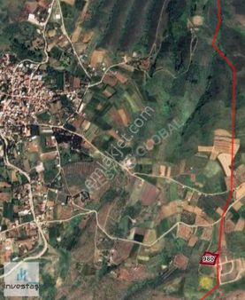 4.900m2 Harika Bir Ceviz Bahçesi