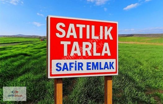 Safir'denkütahya Merkez Sağırlar Köyün'desatılık 16 Parça Tarla
