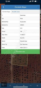 Zeugmaparktan Dutlu Yolu Üzreinde 13.896m2 Yatırımlık Fıstıklık