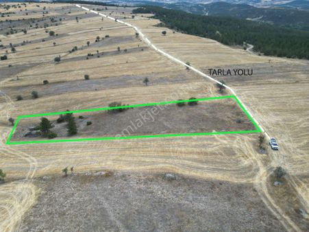 Kütahya Gediz Yağmurlar Köyü 2384 M2 Satılık Yatırımlık Tarla