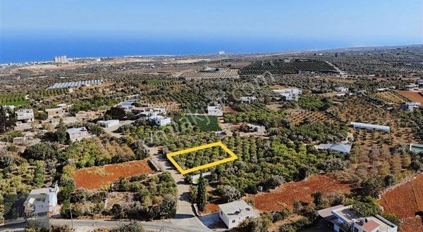 Lamos'dan Batısandal'da Satılık 1000 M2 Arsa