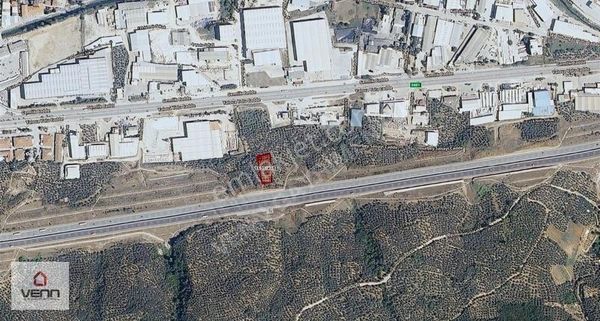 Gemlik Umurbey Ticari İmara Sınır Satılık Zeytinlik