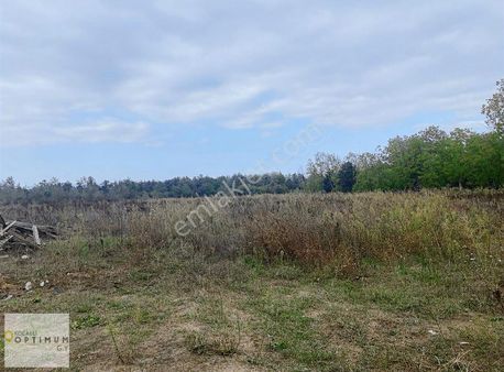 Optimum Gy'den Balabanda 10.350 Mt2 Bahçe