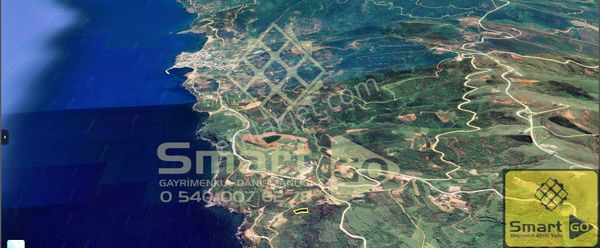 Sahilyenice'de Deniz Manzaralı 1547 M² Satılık Zeytinlik