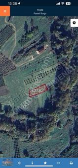 Şile Kalem Mahallesi'nde Satılık 585m2 Müstakil Arsa Acil!!