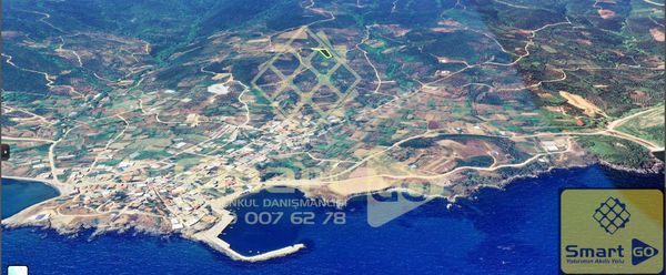 Sahilyenice'de Resmi Yolu Olan Deniz Manzaralı 2178 M² Satılık Zeytinlik