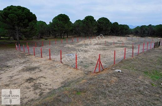 Manisa Akhısar 784 M2 Resmi Yolu Olan Vılla İmarlı Fırsat Arazi