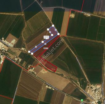 Babacandan Konuklu'da Satılık 28 Dönüm Tarla