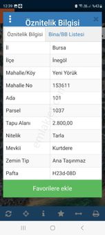 Yatırımlık Aciill