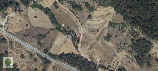 Muğla, Menteşe, Kıran'da Satılık Yolu Olan Mini Tarla...