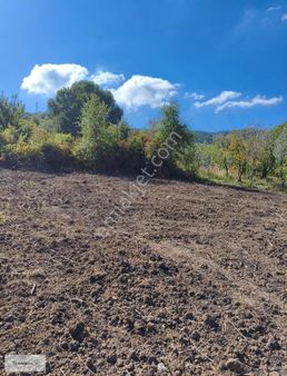 Çınarcık Merkezde Satılık 4 Kat İmarlı Arsa