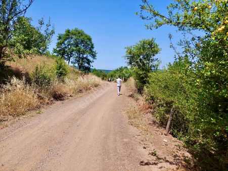 Çanakkale Biga Arabalan Köyünde Satılık 2723 M2 Tarla Yola Cephe
