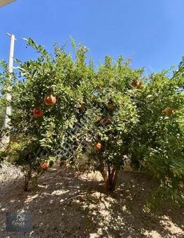 En Güzel Sitede Tatil Köyü Havasında Muhteşem Bir Yazlık