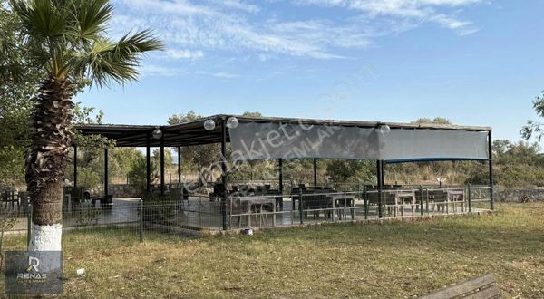 Denize Sıfır 3+1 Bitişik Nizam Yazlık