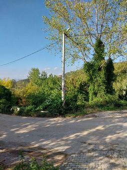 Kestel Orhaniye'de Satılık Anayolla Cephe Kıymetli Satılık Arazi