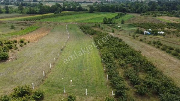 Kandıra Karadivan Köyün De Satılık Arazi