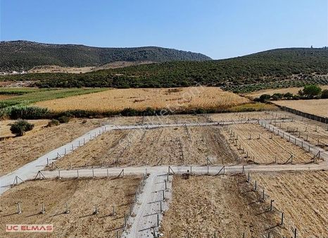 Üç Elmastan Elektrik Suyu Hazır 286 M²tapulu Muhteşem Bir Bahçe