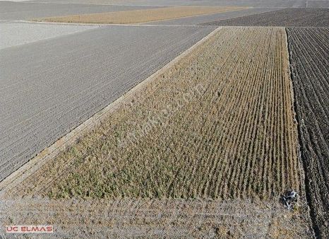 Üç Elmastan İnanılmaz Fiyata 4.700 M²tek Tapu Muhteşem Bir Arazi