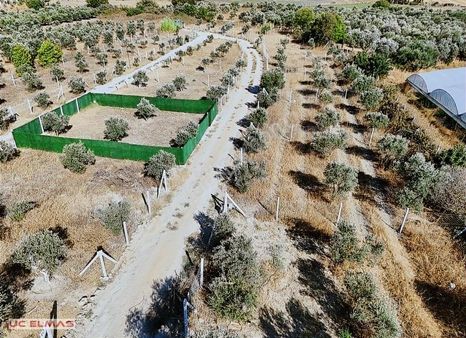 Üç Elmastan Doğanın Ve Huzurun İçinde 217 M²muhteşem Bahçeler