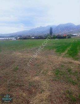 Korkuteli Kozağacında Satılık Tarla Sera Yeri