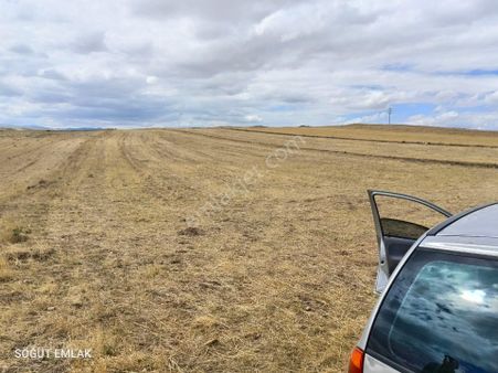 Söğüt Emlak'tan İscehisar'da Satılık Tarla