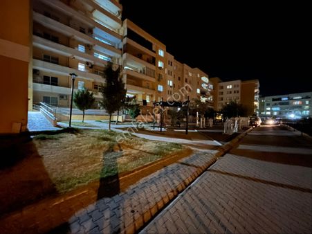 Şıtıloğlu Dan Satılık Sarı Toki