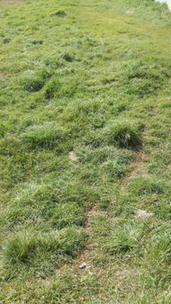 Kartal Yakacıkta % 45 Kat Karşılığı Düşeş Kazandıracak Arsa No:74