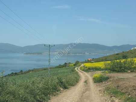 Bandırma Hıdır Mah. Deniz Manzaralı Araç Takaslı Satılık Arsa