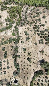 Muğla Menteşe Bayır Mah. Yatırıma Uygun 5.727 M2 Satılık Tarla