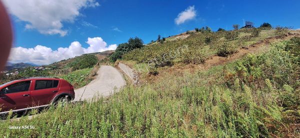 Şahinoğlu Emlaktan, Trabzon Demirtaş Sera Gölü Üstü, 3.756 M2 Deniz Manzaralı Fırsat Arazi.
