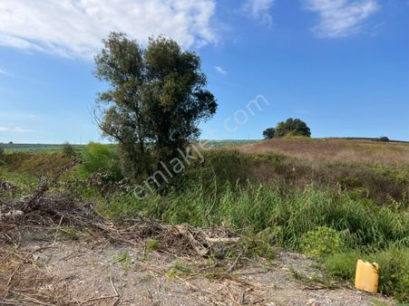 Aliseydi Mh 6538 M2 Satılık Düz Ovada Tarla