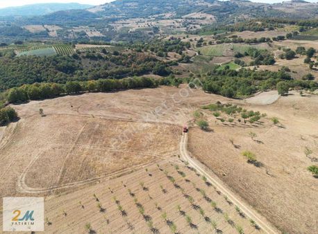 2m Yatırım'dan İznik Yörükler Mah Satılık Tarla