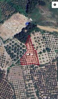 Ena Group Bursa Mudanya Çepni'de 2150 M2 Satılık Bahçe