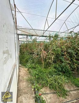 Arslanbey Emlaktan Satılık Sera