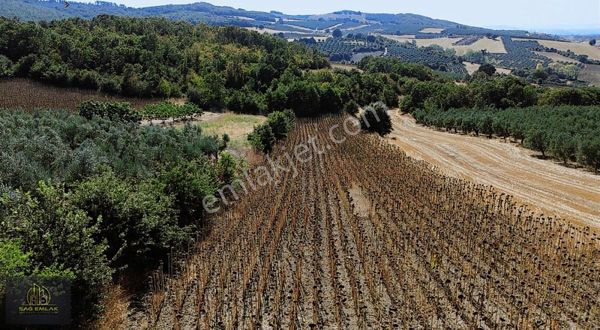 %100 Yatırım Getirisi Potansiyeli! Nilüfer Konaklı'da Kaçırılmaz