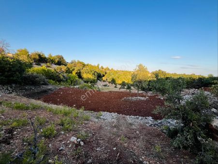 Türe Gayrimenkulden Silifke Çaltıbozkır Yeni Çıktıda Satılık Arsa